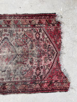 [vintage rugs] - Blue Parakeet Rugs