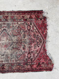 [vintage rugs] - Blue Parakeet Rugs