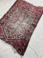 [vintage rugs] - Blue Parakeet Rugs