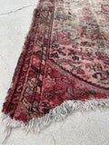 [vintage rugs] - Blue Parakeet Rugs