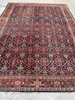 [vintage rugs] - Blue Parakeet Rugs