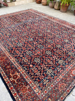 [vintage rugs] - Blue Parakeet Rugs
