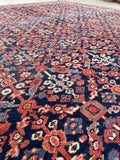 [vintage rugs] - Blue Parakeet Rugs
