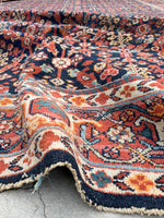 [vintage rugs] - Blue Parakeet Rugs