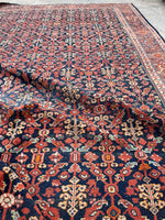 [vintage rugs] - Blue Parakeet Rugs