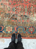 [vintage rugs] - Blue Parakeet Rugs