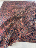 7'6 x 10'2 Antique Blush Sarouk rug #2462 - Blue Parakeet Rugs