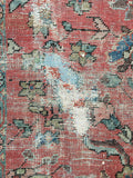 [vintage rugs] - Blue Parakeet Rugs
