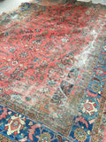 [vintage rugs] - Blue Parakeet Rugs