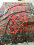 [vintage rugs] - Blue Parakeet Rugs