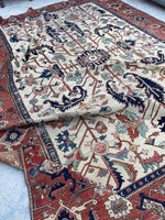 [vintage rugs] - Blue Parakeet Rugs