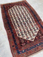 [vintage rugs] - Blue Parakeet Rugs