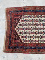 [vintage rugs] - Blue Parakeet Rugs