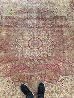10’3 x 11’6 Antique floral design Kerman Lavar rug #1970ML / 10x12 Vintage rug - Blue Parakeet Rugs