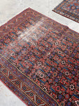 [vintage rugs] - Blue Parakeet Rugs