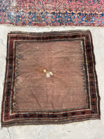 4'1 x 4'3 Square Sofreh Baluch rug #2573 - Blue Parakeet Rugs