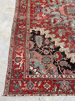 [vintage rugs] - Blue Parakeet Rugs