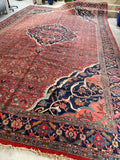 11'6 x 17'7 Antique Full Pile Persian Bidjar rug #2563 / Oversize Persian 12x18 vintage rug - Blue Parakeet Rugs