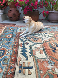 10'6 x 12'6 antique 19th Century Persian Serapi (#875ML) - Blue Parakeet Rugs