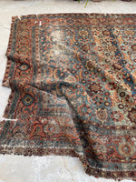 [vintage rugs] - Blue Parakeet Rugs