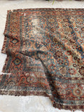 [vintage rugs] - Blue Parakeet Rugs