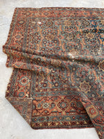 [vintage rugs] - Blue Parakeet Rugs