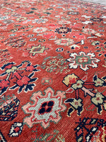 5'10 x 15'1 Antique Persian Burnt Melon ground rug #2657 / 6x15 vintage rug - Blue Parakeet Rugs