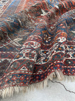 [vintage rugs] - Blue Parakeet Rugs