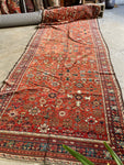 5'10 x 15'1 Antique Persian Burnt Melon ground rug #2657 / 6x15 vintage rug - Blue Parakeet Rugs