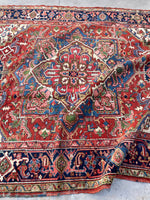 [vintage rugs] - Blue Parakeet Rugs