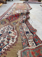 [vintage rugs] - Blue Parakeet Rugs