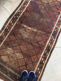 2'11 x 5'9 Antique Baluch Rug - Blue Parakeet Rugs