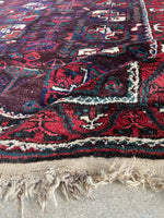 3'7 x 6'3 Antique Baluch Rug #2801 - Blue Parakeet Rugs