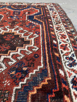 [vintage rugs] - Blue Parakeet Rugs