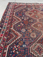 [vintage rugs] - Blue Parakeet Rugs