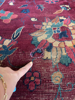 9'7 x 13'10 Plum & Palatial Antique Rug #2808ML - Blue Parakeet Rugs