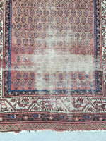 4'2 x 6'8 Antique Persian Hamadan Rug (#913) - Blue Parakeet Rugs