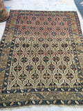 3'9 x 4'8 Antique "ombre" Caucasian rug (#919) - Blue Parakeet Rugs