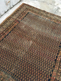 [vintage rugs] - Blue Parakeet Rugs