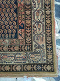 [vintage rugs] - Blue Parakeet Rugs