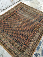 [vintage rugs] - Blue Parakeet Rugs