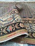 [vintage rugs] - Blue Parakeet Rugs