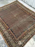[vintage rugs] - Blue Parakeet Rugs
