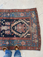 [vintage rugs] - Blue Parakeet Rugs