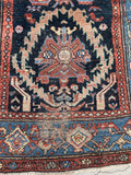 [vintage rugs] - Blue Parakeet Rugs