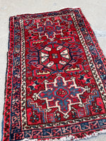 [vintage rugs] - Blue Parakeet Rugs