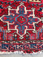 [vintage rugs] - Blue Parakeet Rugs