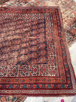 [vintage rugs] - Blue Parakeet Rugs