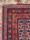 [vintage rugs] - Blue Parakeet Rugs