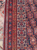[vintage rugs] - Blue Parakeet Rugs